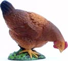Bild vom Artikel Braunes Huhn, pickend