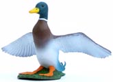Bild vom Artikel Stockente, fliegend