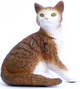 Bild vom Artikel Katze
