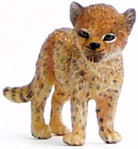 Bild vom Artikel Gepard Jungtier