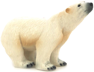 Bild vom Artikel Eisbär