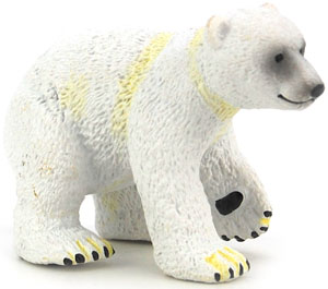 Bild vom Artikel Eisbär Jungtier