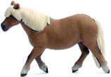 Bild vom Artikel Shetland Pony
