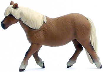 Bild vom Artikel Shetland Pony