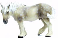 Bild vom Artikel Percheron Pferd