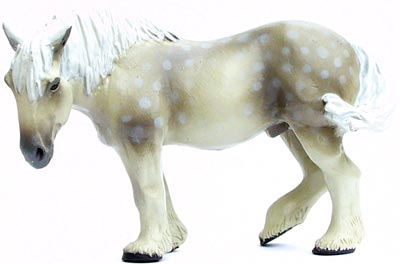 Bild vom Artikel Percheron Pferd