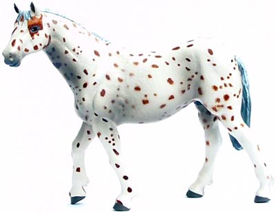 Bild vom Artikel Appaloosa Pferd