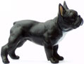 Bild vom Artikel Französische Bulldogge (schwarz)