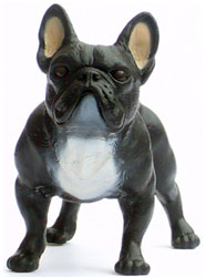 Bild vom Artikel Französische Bulldogge (schwarz)