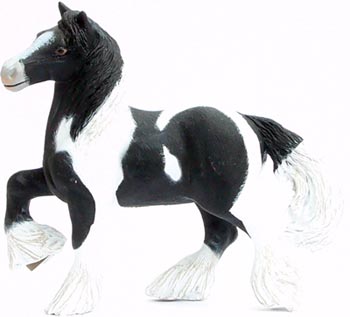 Bild vom Artikel Irish Cob