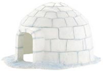Bild vom Artikel Iglu
