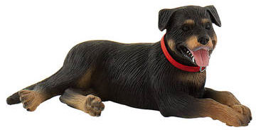 Bild vom Artikel Rottweiler