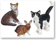 Katzen und Hasen