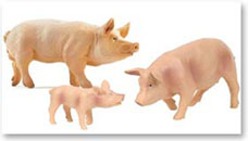 Schweine Spielfiguren