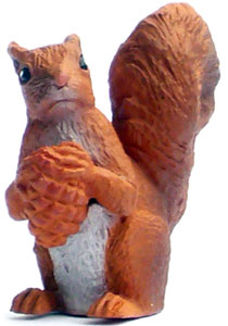 Bild vom Artikel Eichhörnchen