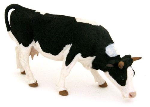 Bild vom Artikel Grasende Holstein Kuh, schwarzweiß