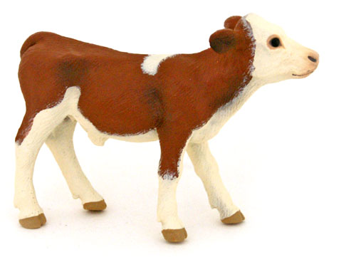 Bild vom Artikel Simmentaler Kalb