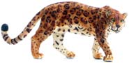 Bild vom Artikel Jaguar