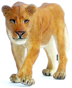 Bild vom Artikel Löwin (Löwenweibchen)