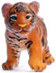 Bild vom Artikel Tigerjunges