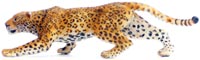 Bild vom Artikel Leopard