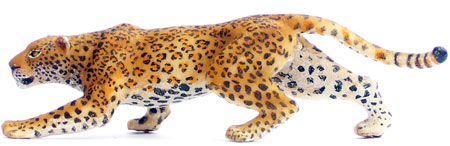Bild vom Artikel Leopard