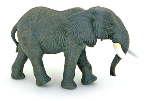 Bild vom Artikel Afrikanischer Elefant (Kuh)