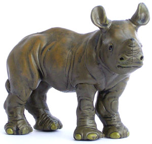 Bild vom Artikel Nashorn (Rhinozeross) Jungtier