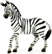 Bild vom Artikel Zebra