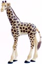 Bild vom Artikel Giraffen Jungtier