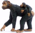 Bild vom Artikel Schimpanse mit Jungtier (A)