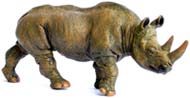 Bild vom Artikel Nashorn (Rhinozeross)