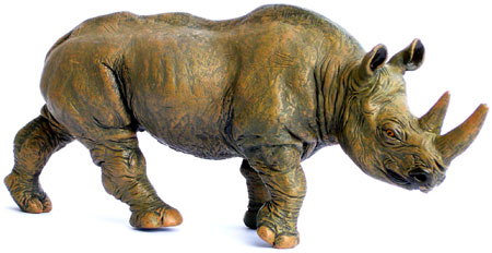 Bild vom Artikel Nashorn (Rhinozeross)