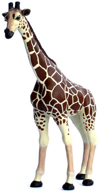 Bild vom Artikel Giraffe