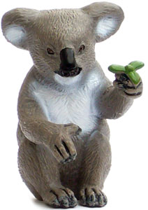 Bild vom Artikel Koala