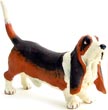 Bild vom Artikel Basset Hound