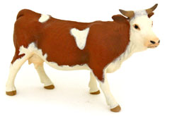 Bild vom Artikel Simmentaler Kuh