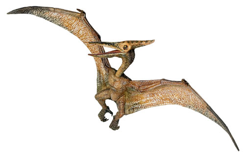 Bild vom Artikel Pteranodon